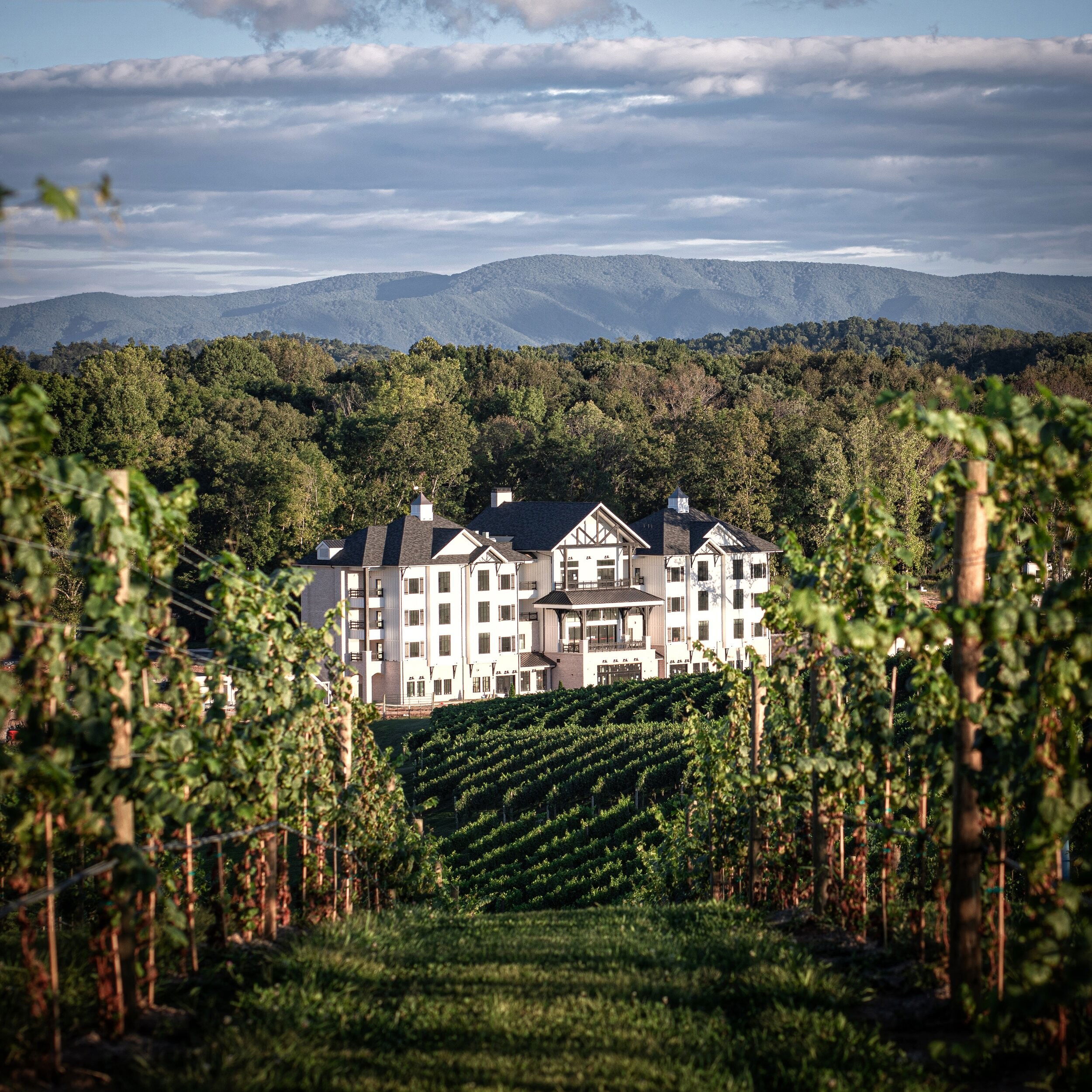 Nicewonder Farm & Vineyards hotel in Bristol, United States