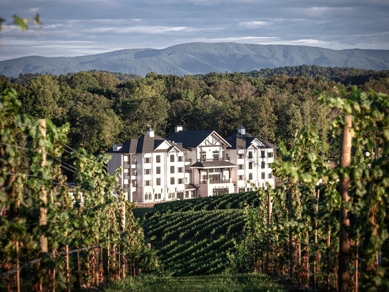 Nicewonder Farm & Vineyards, Bristol, United States