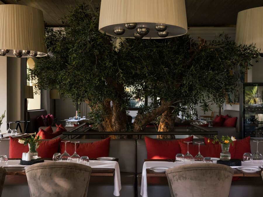 L'Oliveraie restaurant in El Hajeb