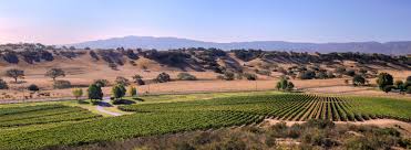 Rusack Vineyards winery in Solvang, United States