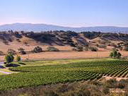 Rusack Vineyards, Solvang, United States