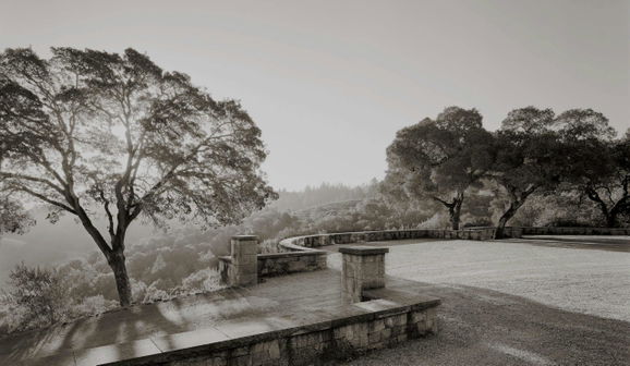 BOND Winery