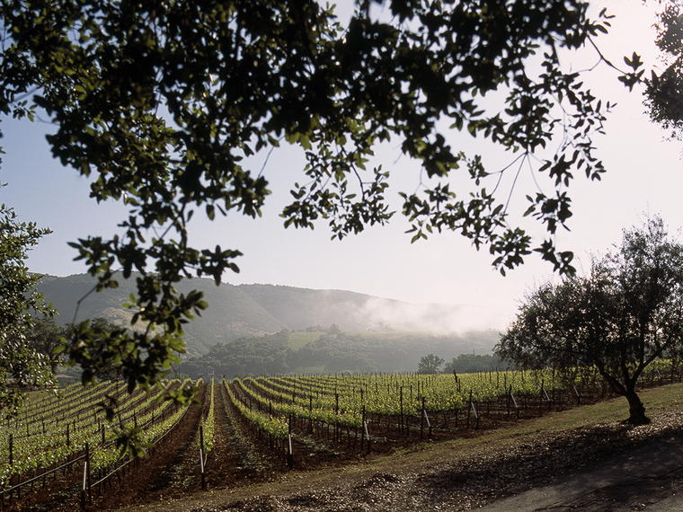 BOND Winery, Napa, United States