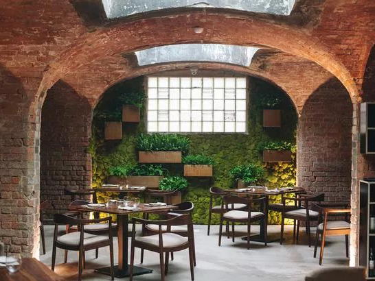 alchemilla, Nottingham, United Kingdom