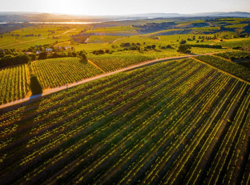 Domaine André Brunel winery in Sorgues