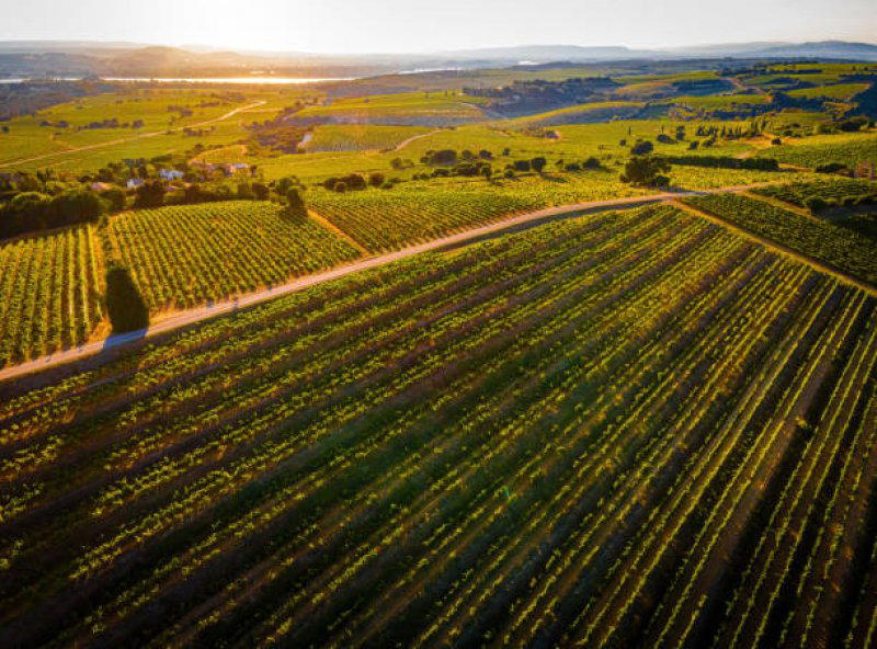 Domaine André Brunel, Sorgues, France