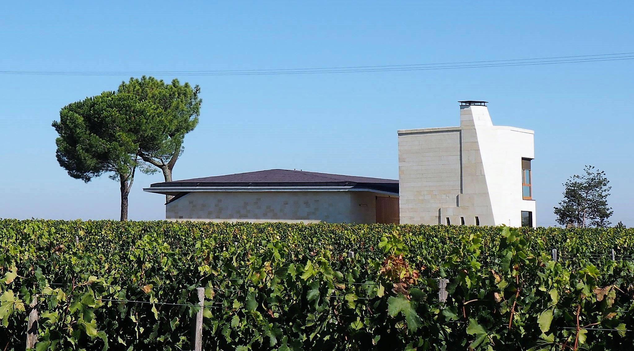 Chateau Le Pin winery in Saint-Julien-Beychevelle