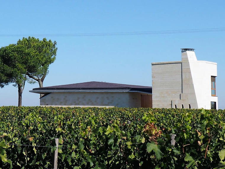 Chateau Le Pin, Saint-Julien-Beychevelle, France