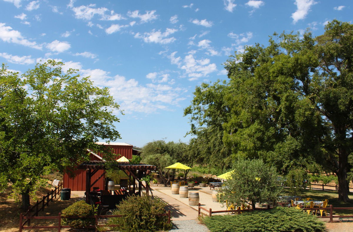 Terre Rouge and Easton Wines winery in Plymouth, United Kingdom