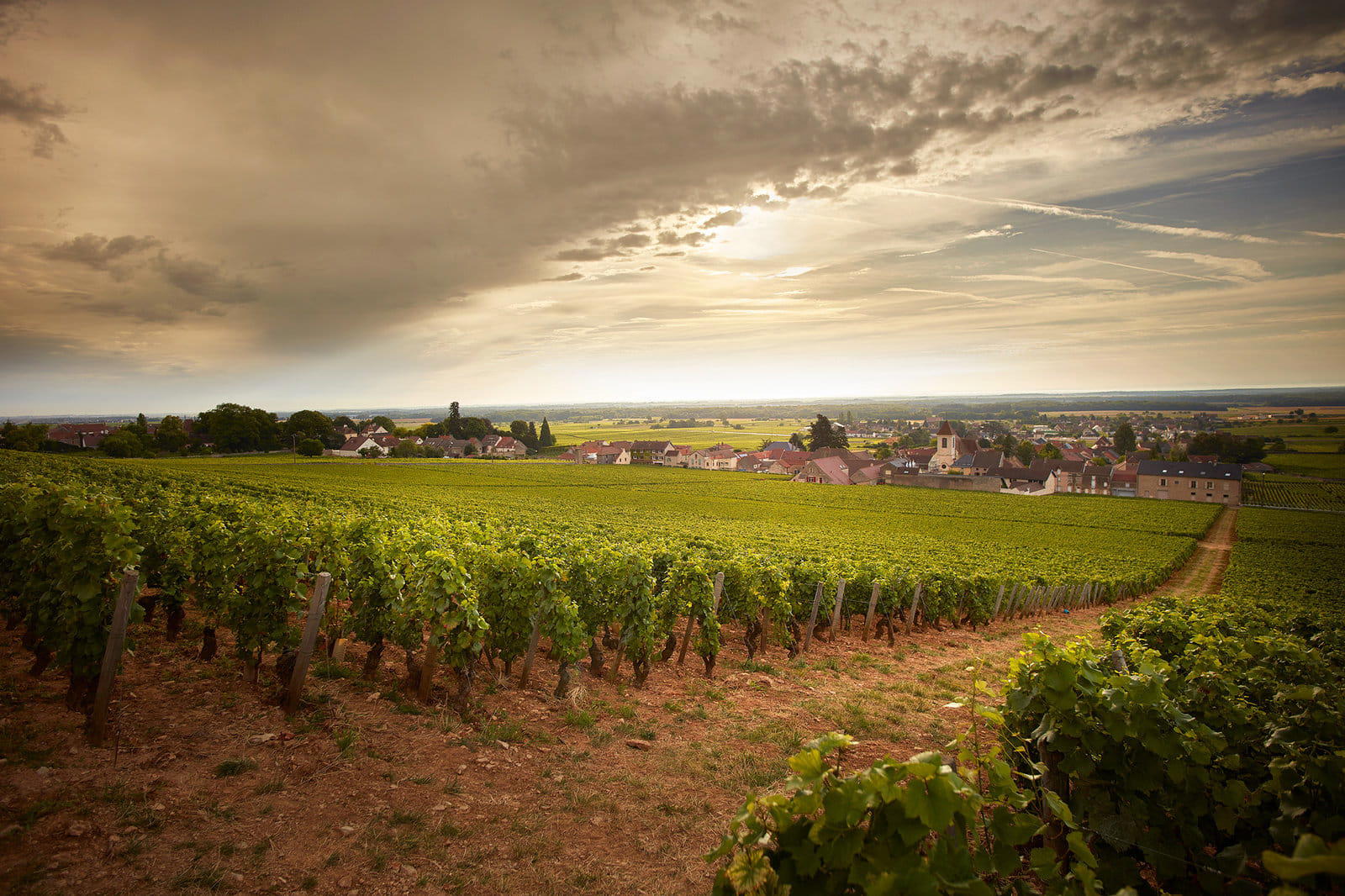 Domaine du Clos de Tart winery in Morey-Saint-Denis