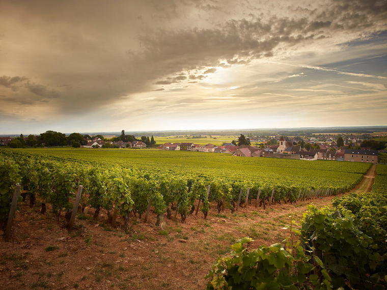 Domaine du Clos de Tart, Morey-Saint-Denis, France