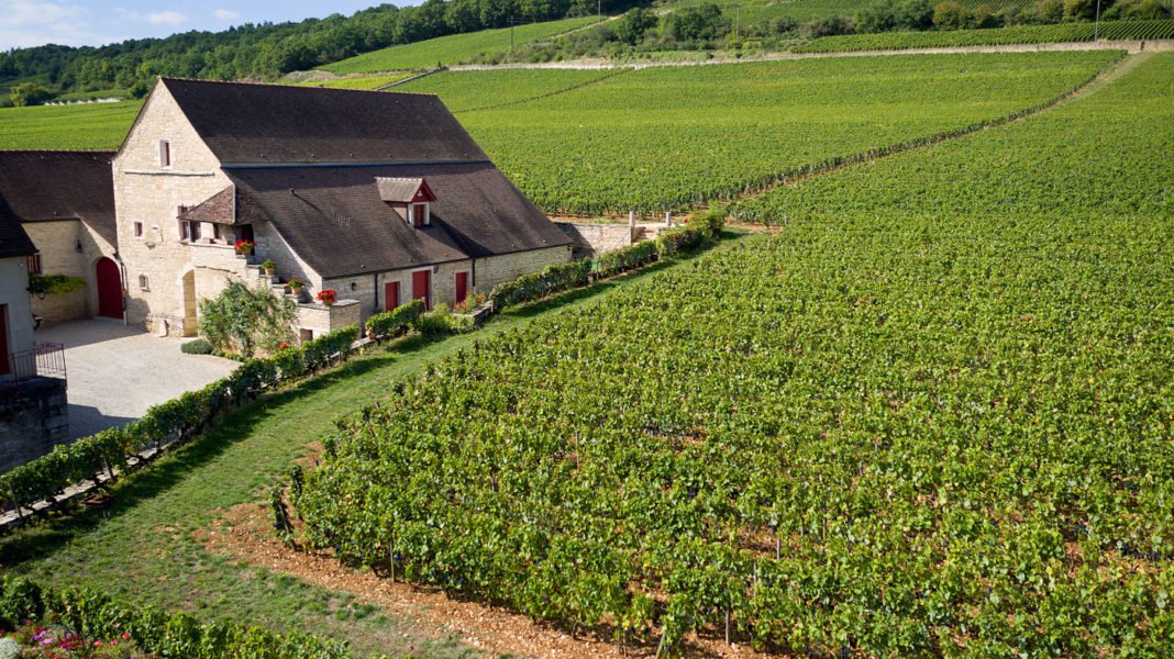 Domaine du Clos de Tart winery in Morey-Saint-Denis, France