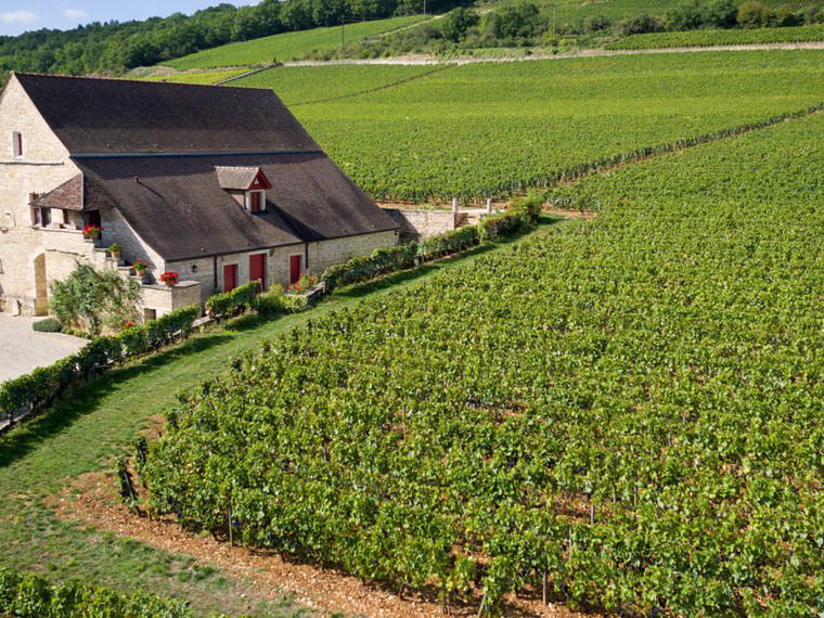 Domaine du Clos de Tart, Morey-Saint-Denis, France