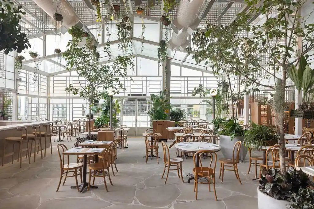 Manioca, Restaurant in São Paulo