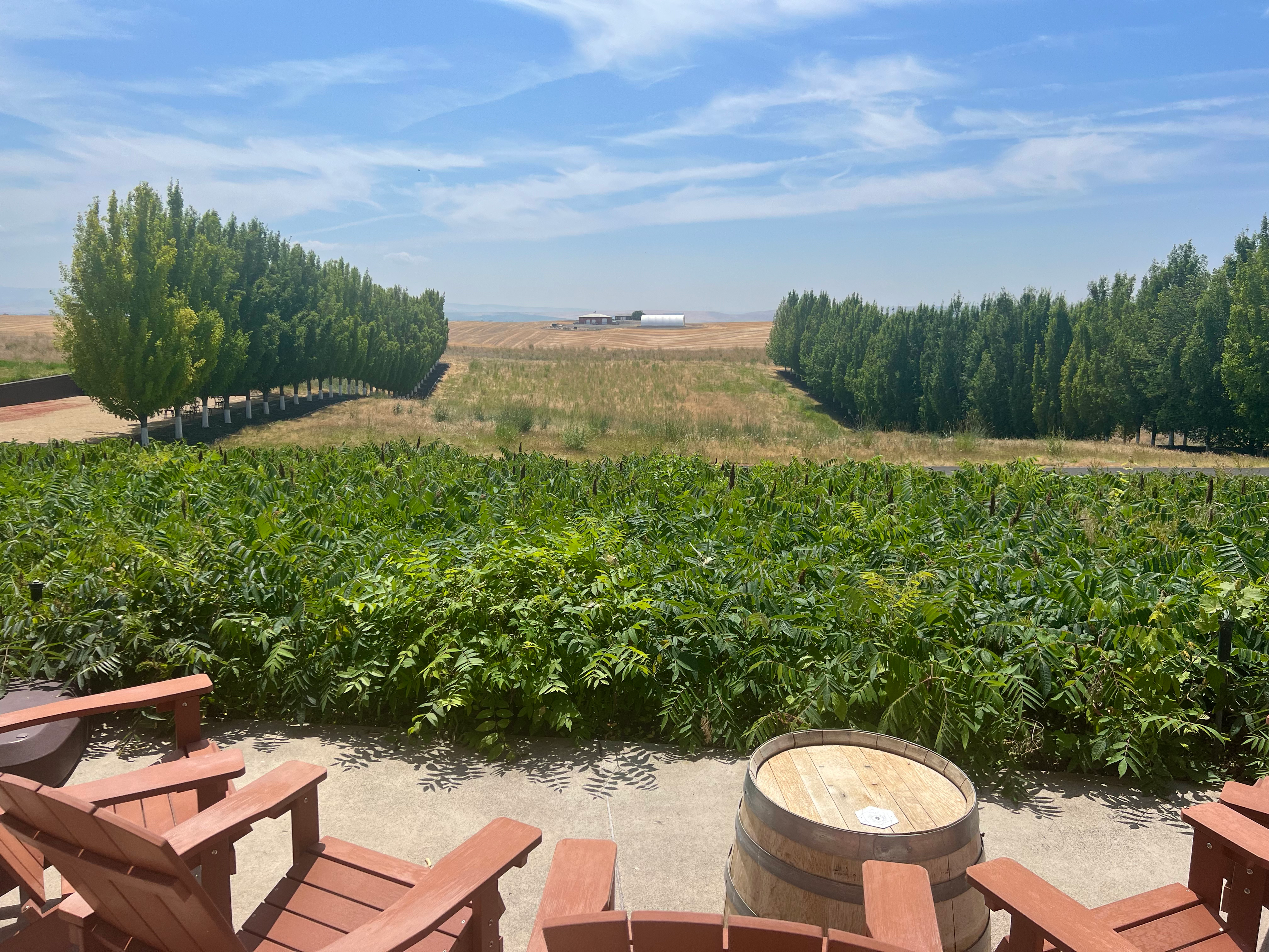 Long Shadows Winery, Walla Walla, United States