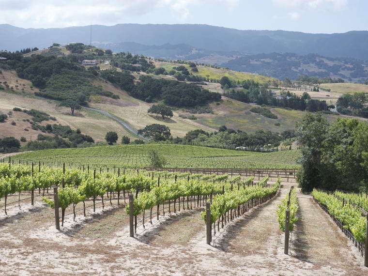 SAMsARA Wine Co., Goleta, United States