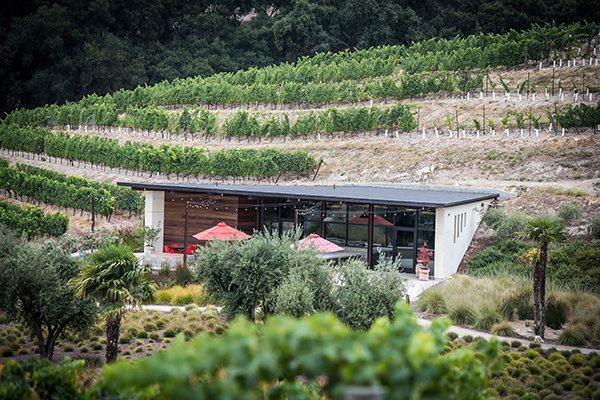 L'Aventure, Chavot-Courcourt, France