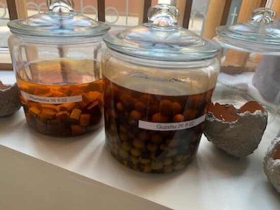 Wild Shropshire restaurant in Whitchurch