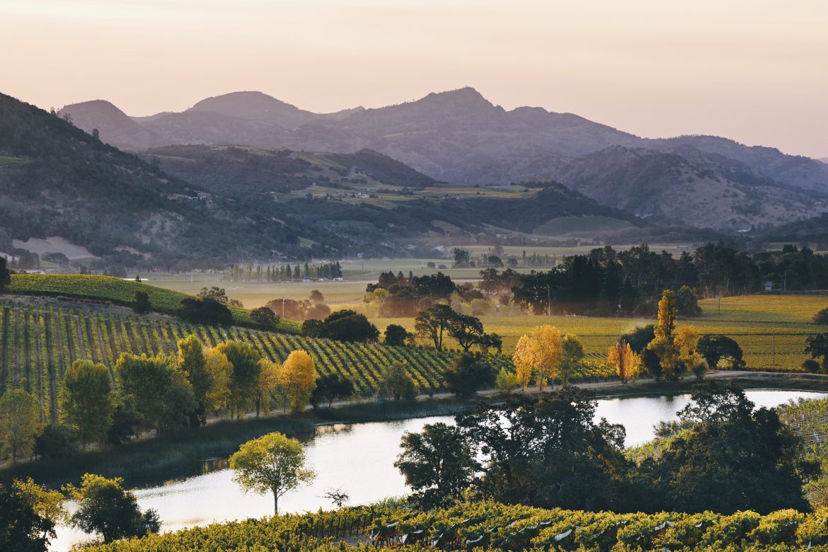 Quintessa winery in Rutherford, United States