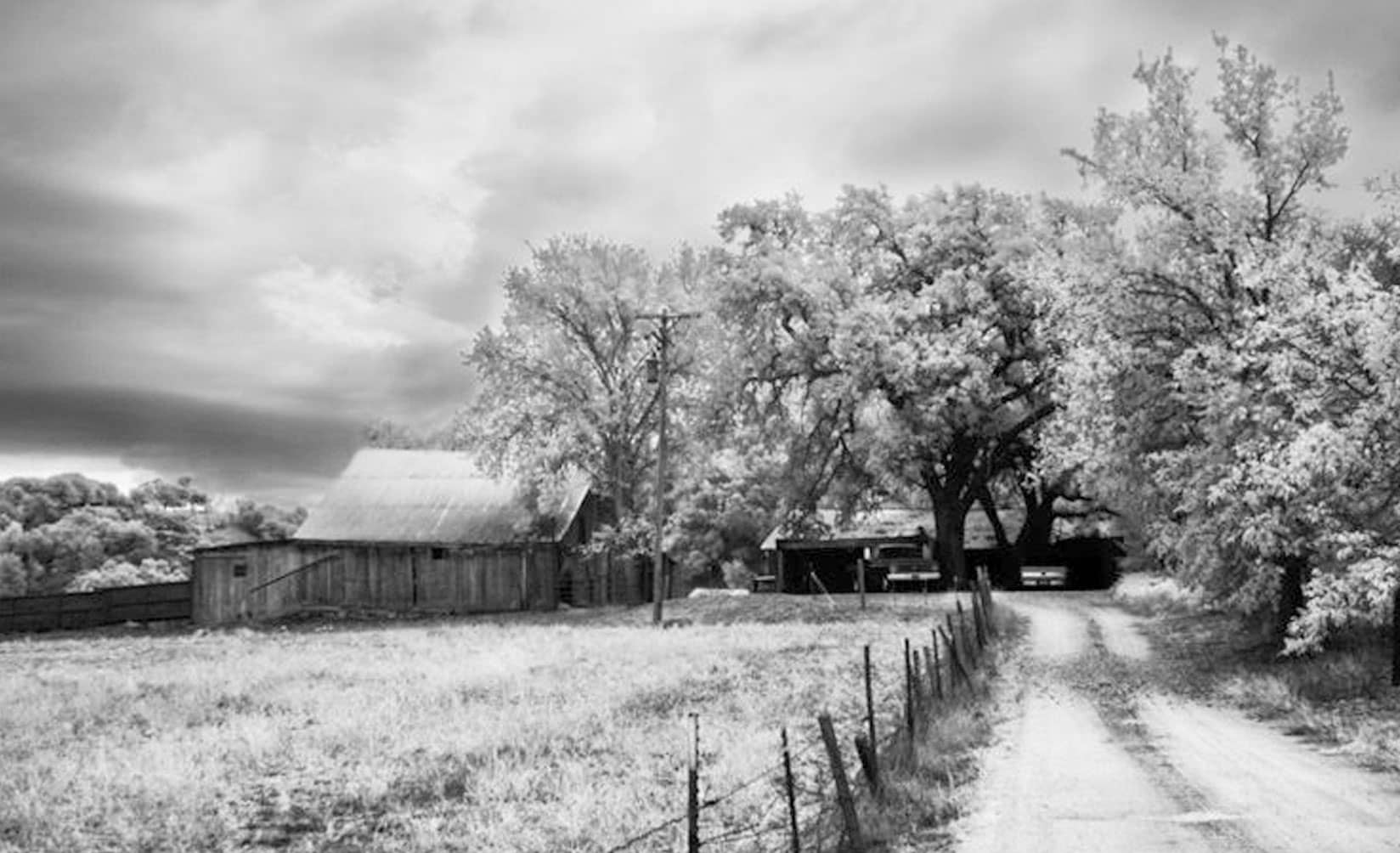 Booker Vineyard