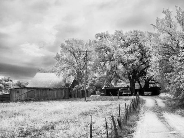 Booker Vineyard, Paso Robles, United States