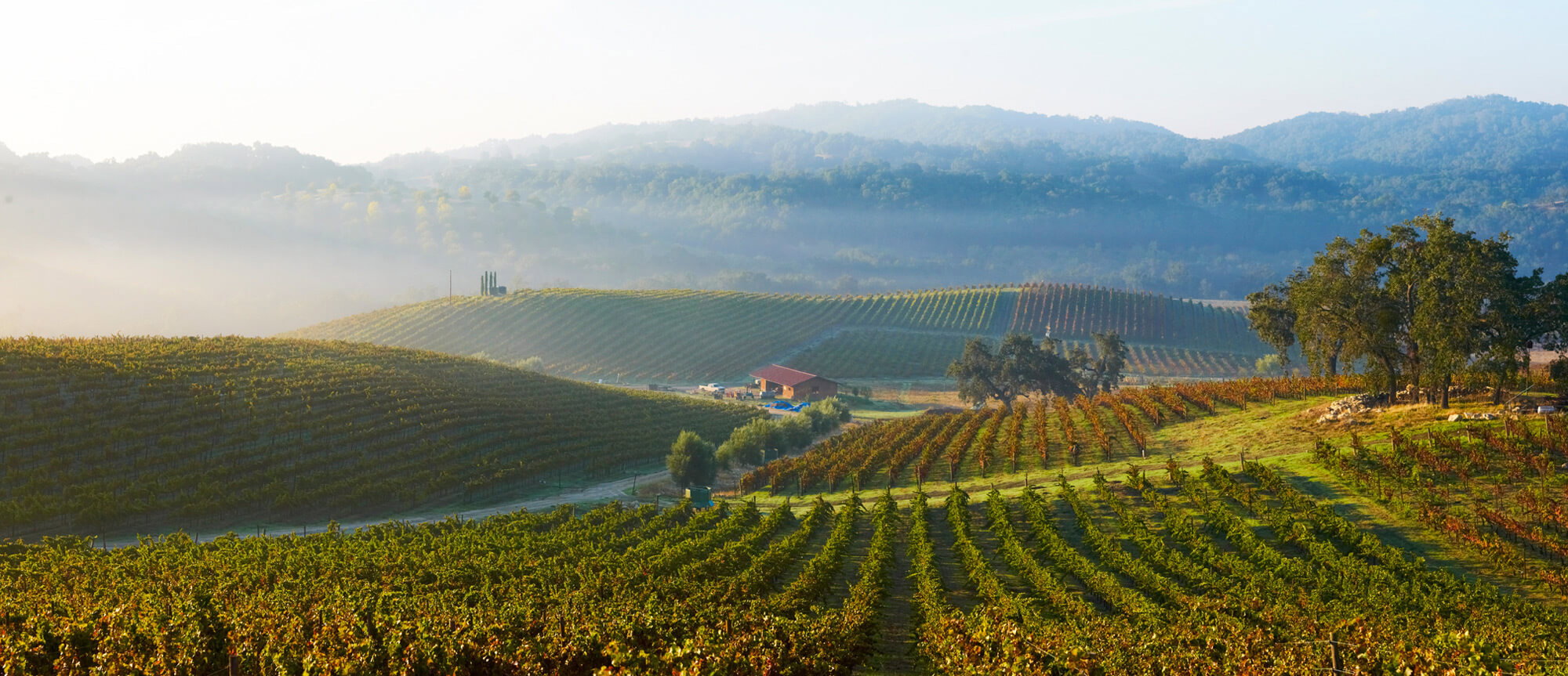 Tablas Creek Vineyard winery in Paso Robles, United States