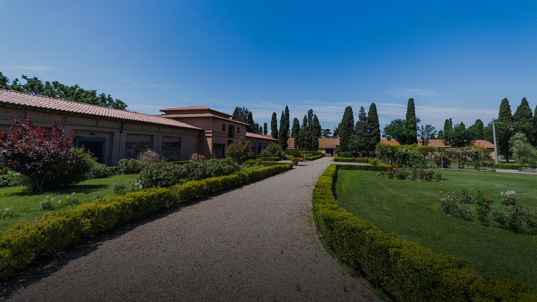Tenuta San Guido winery in Bolgheri, Italy