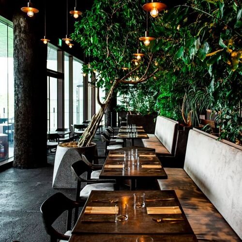 HYÈNE, Restaurant in Tokyo