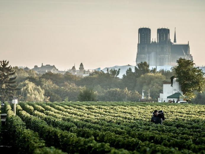 Lanson, Tours-sur-Marne, France