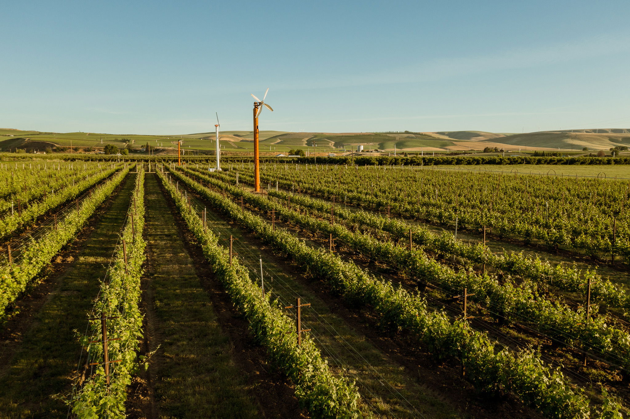Force Majeure Wines winery in Walla Walla, United States