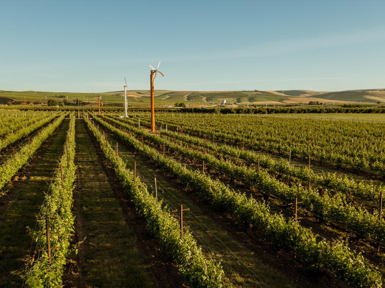 Force Majeure Wines, Walla Walla, United States
