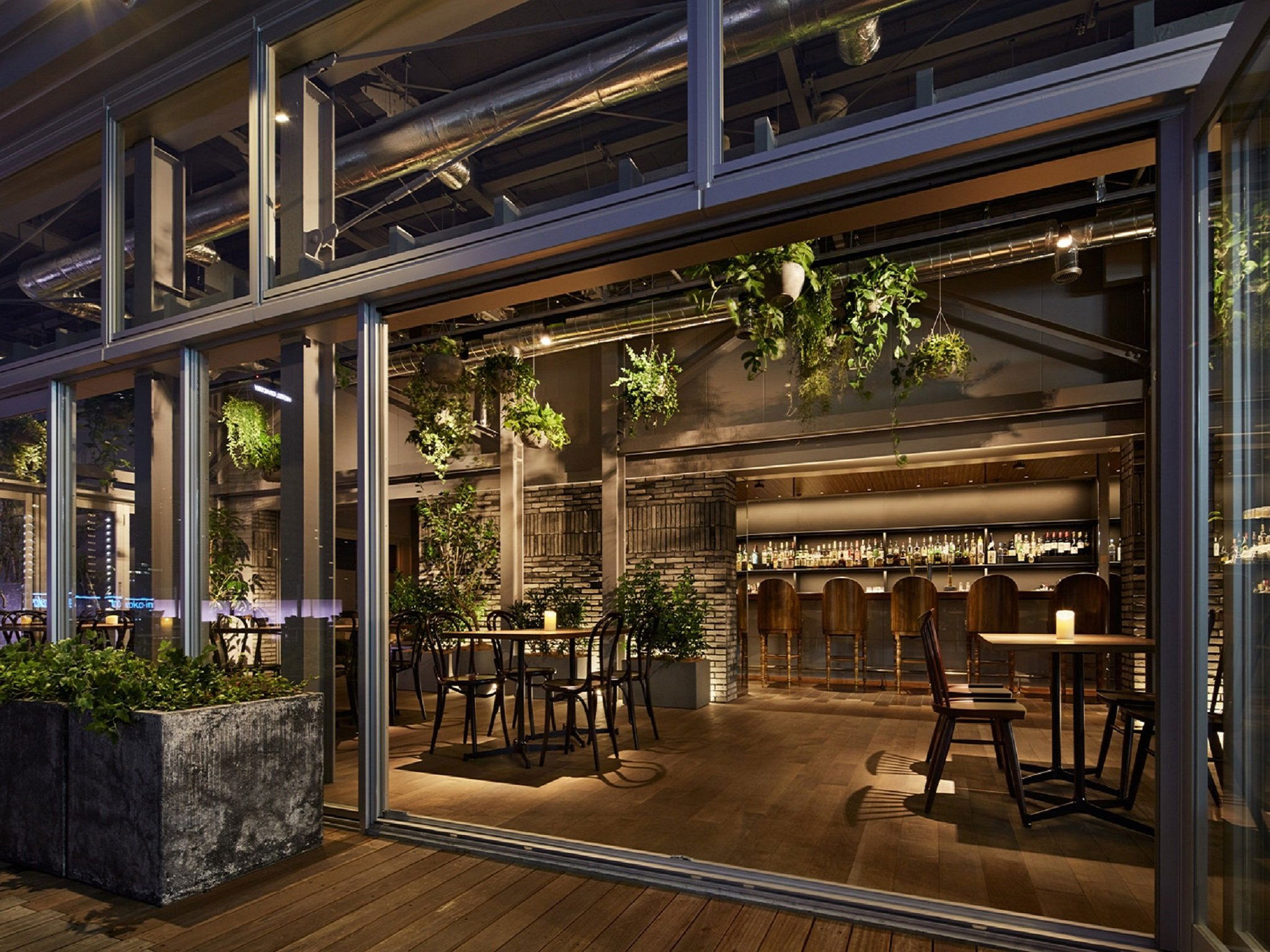 IRUCA TOKYO, Restaurant in Tokyo