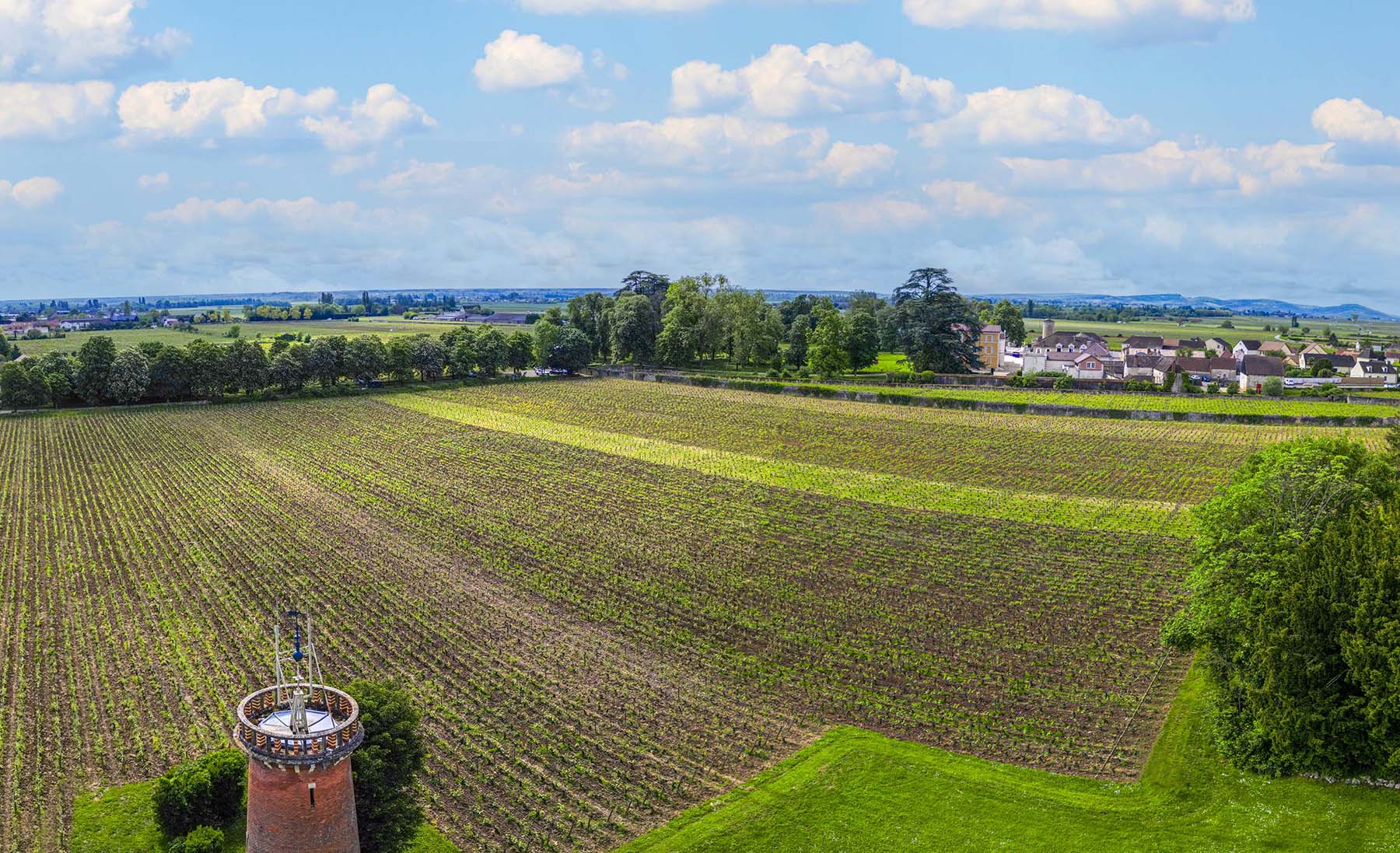 Domaine Arnaud Ente
