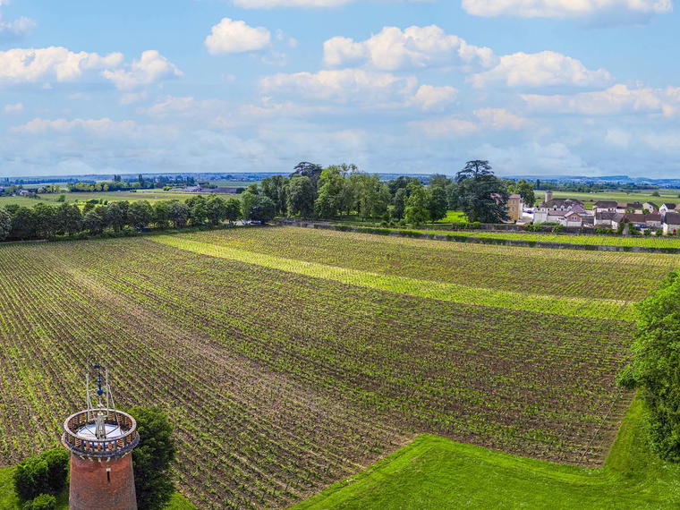 Domaine Arnaud Ente, Meursault, France