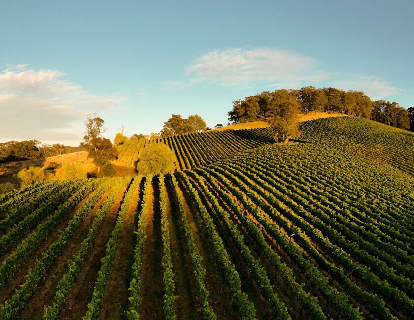 Penfolds, Winery in Adelaide