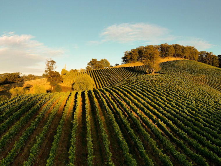 Penfolds, Adelaide, Australia