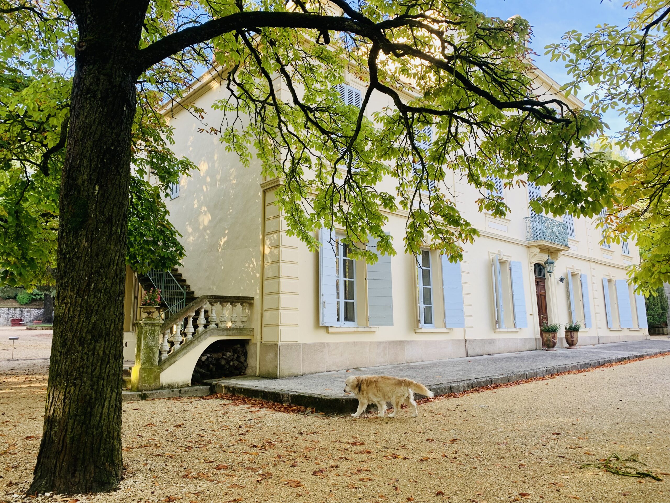 Château Simone winery in Meyreuil, France
