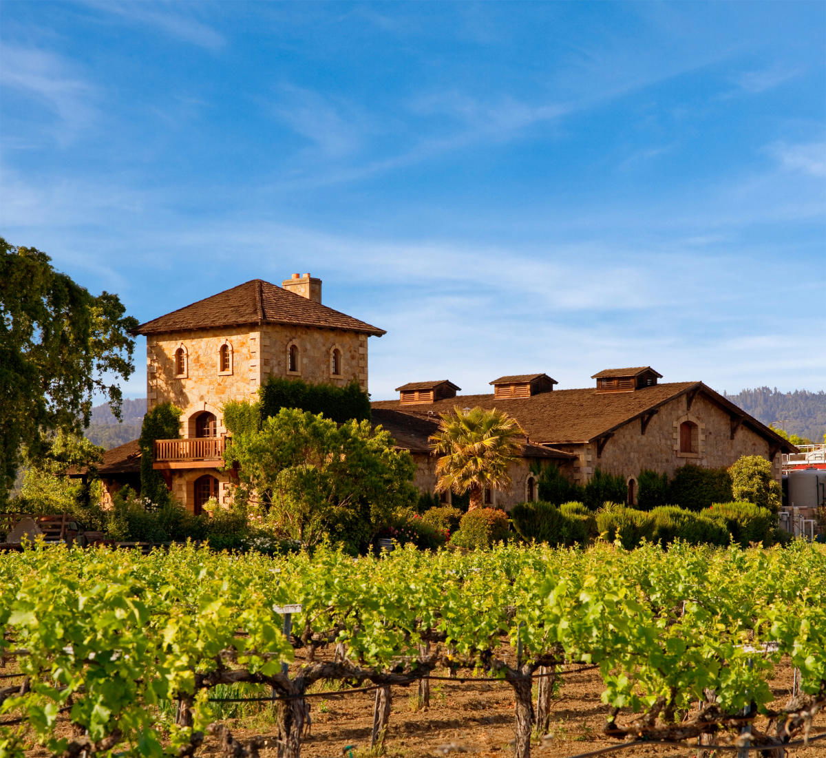 V. Sattui, Winery in Napa