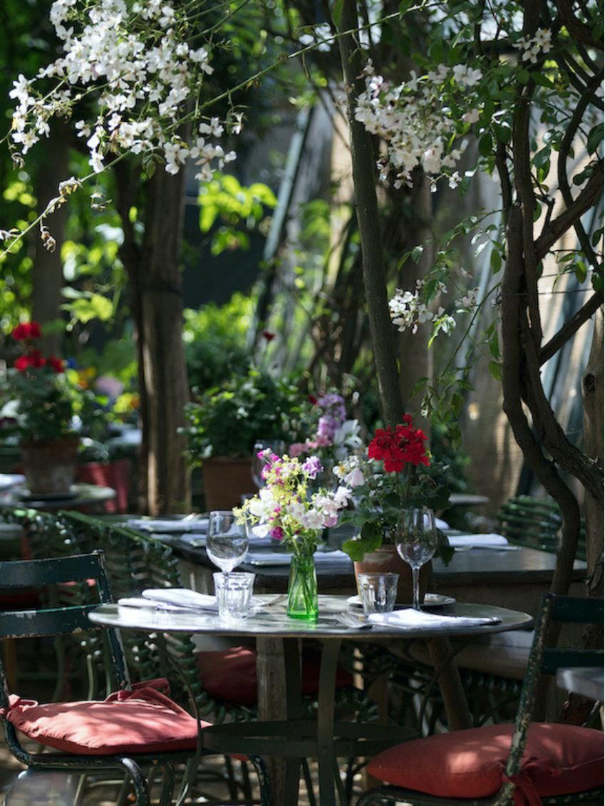 Néva Cuisine restaurant in Paris, France