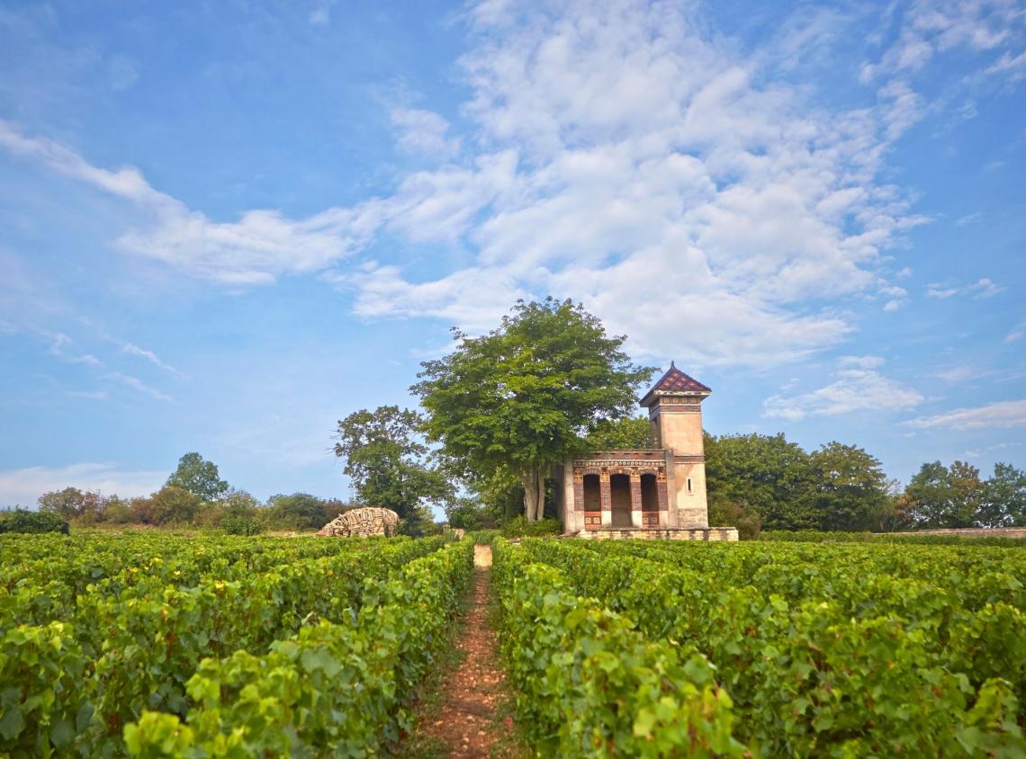 Domaine Roulot winery in Meursault, France