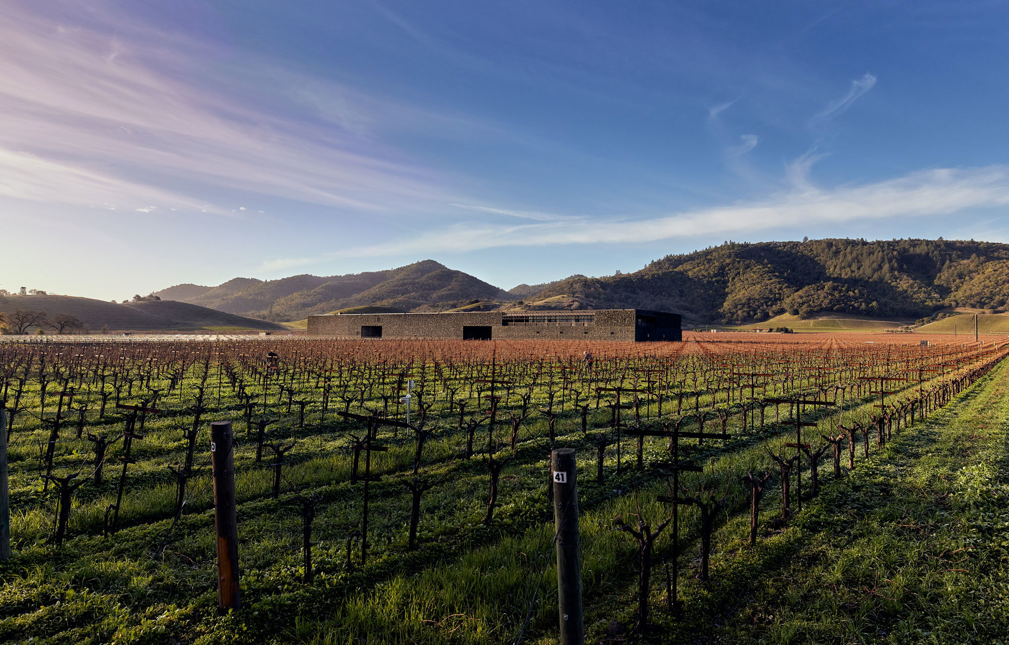 Dominus Estate winery in Yountville, United States