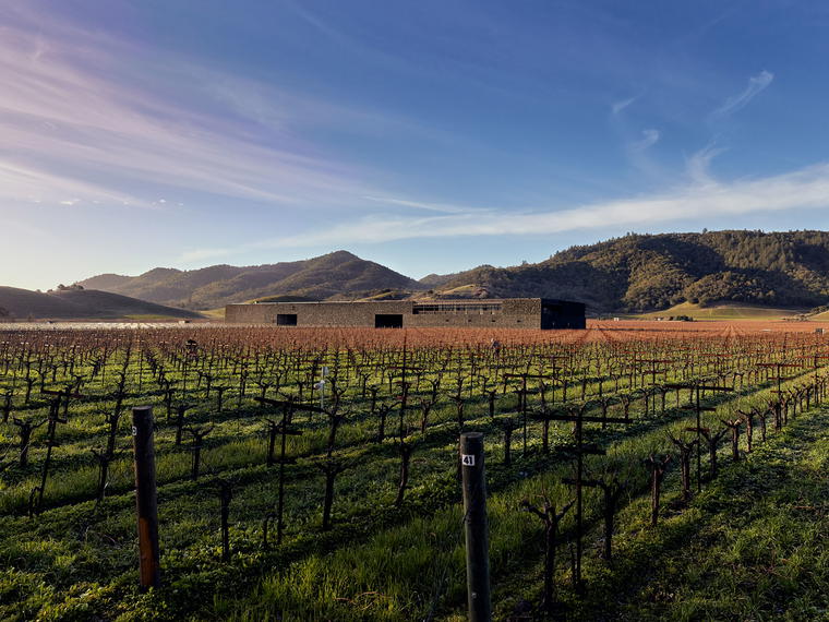 Dominus Estate, Yountville, United States