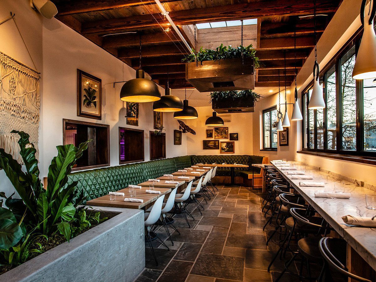 Ramen Gaijin, Restaurant in Sebastopol