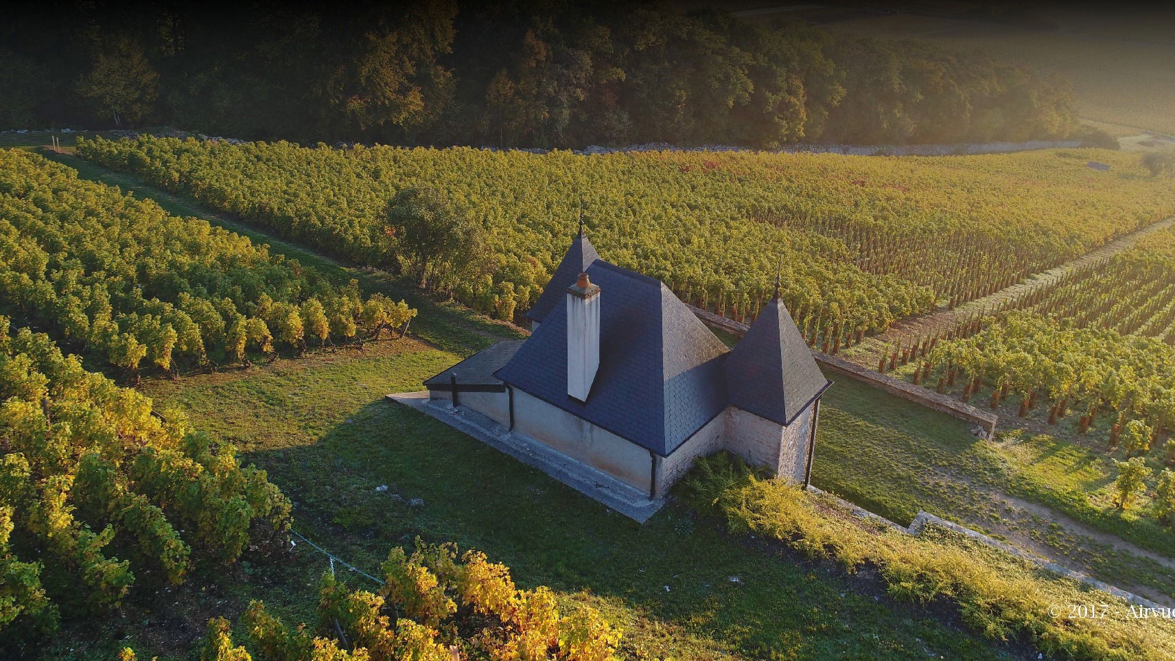 Domaine Ponsot, Winery in Morey-Saint-Denis