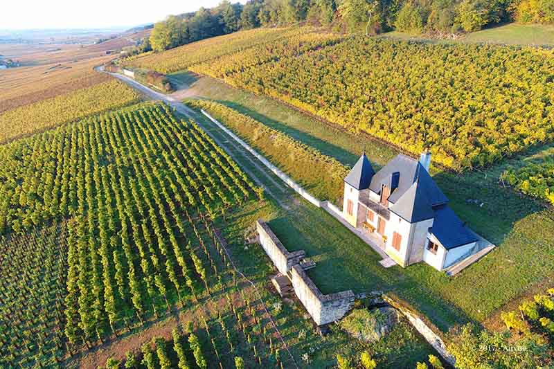 Domaine Ponsot winery in Morey-Saint-Denis, France