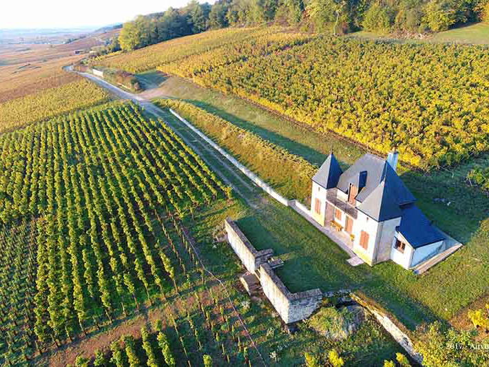 Domaine Ponsot, Morey-Saint-Denis, France