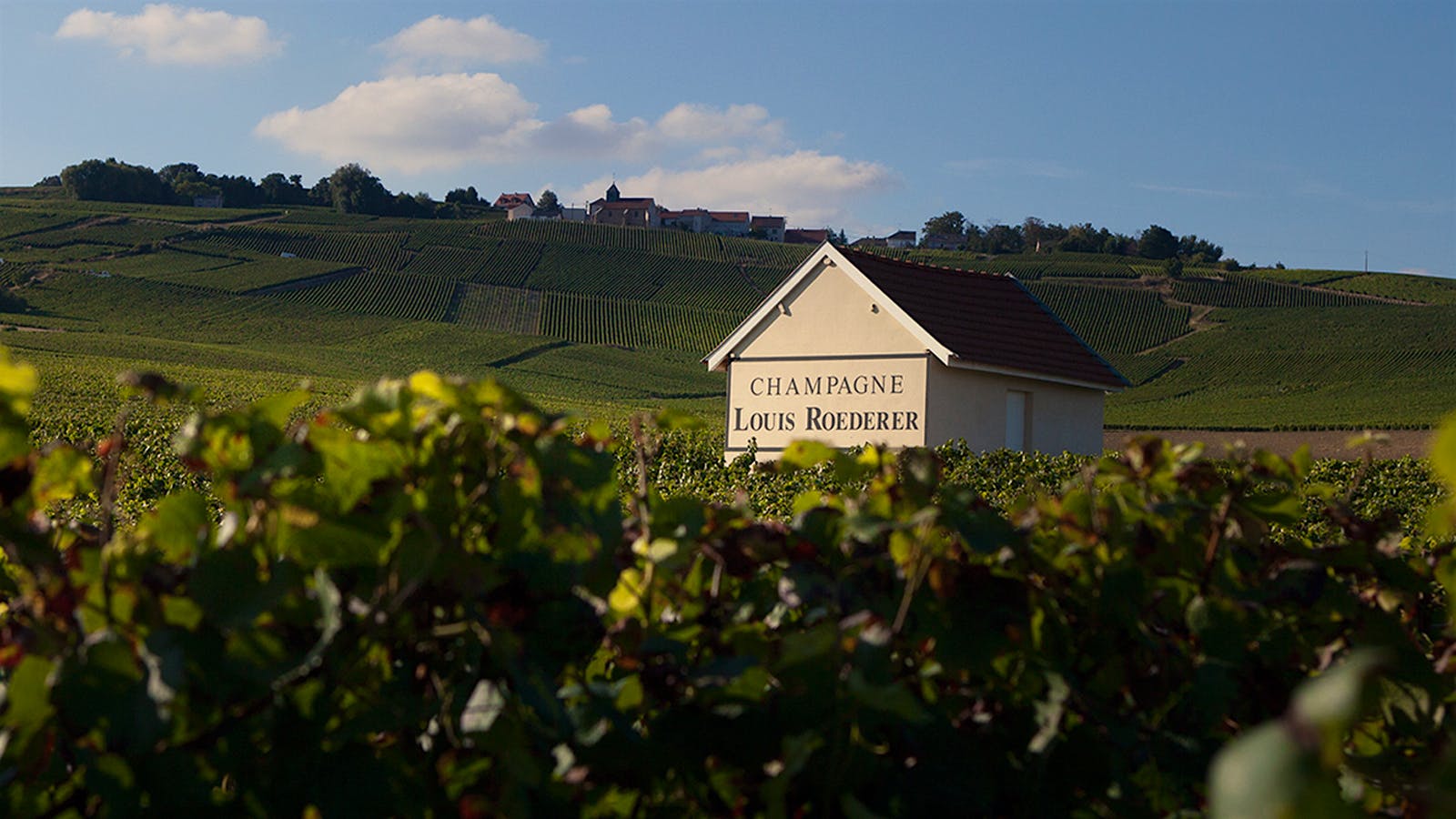 Louis Roederer winery in Beauchamp