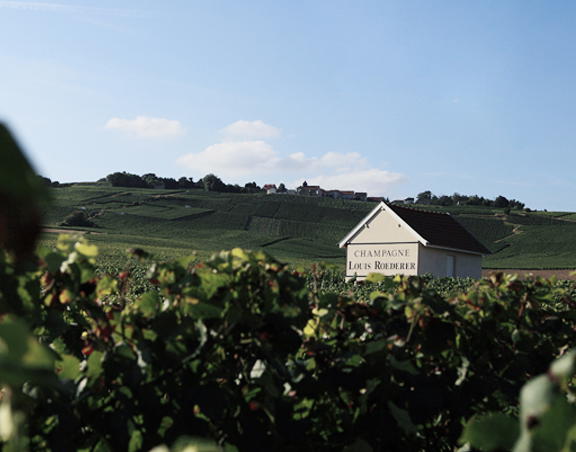 Louis Roederer, Beauchamp, France