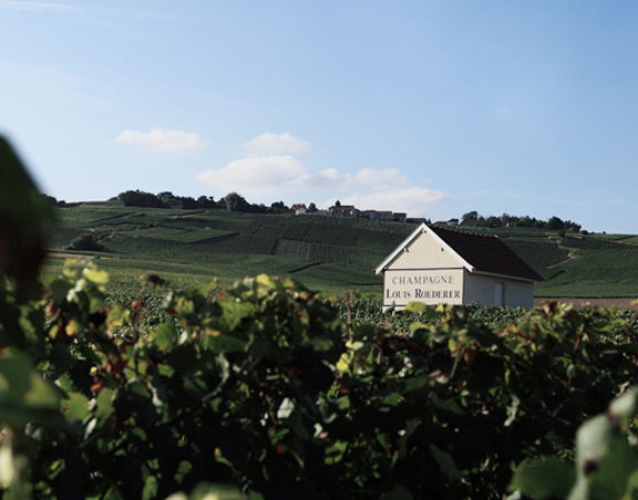Louis Roederer, Winery in Beauchamp