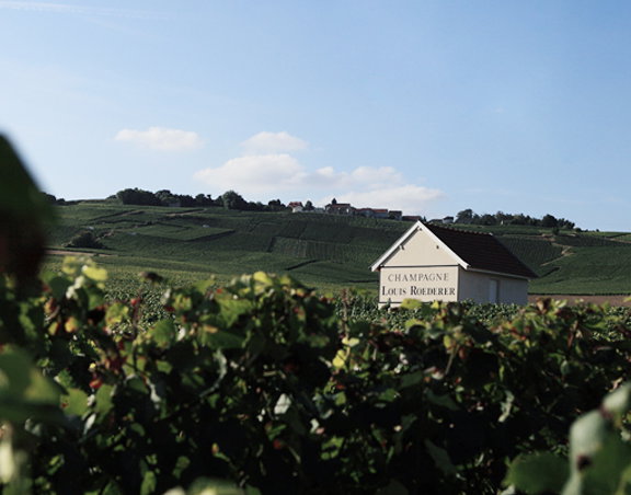 Louis Roederer winery in Beauchamp, France